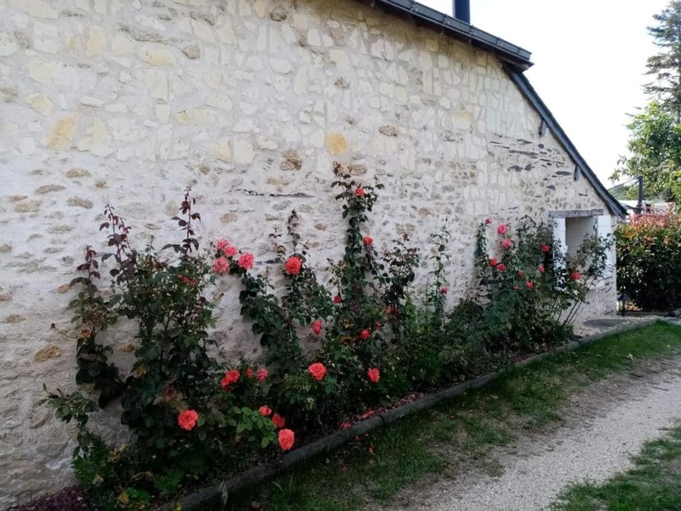 The peaceful countryside corner House in Pays de la Loire