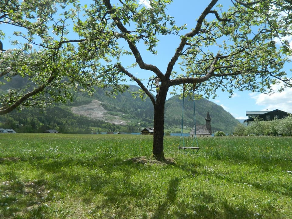 Natural landscape