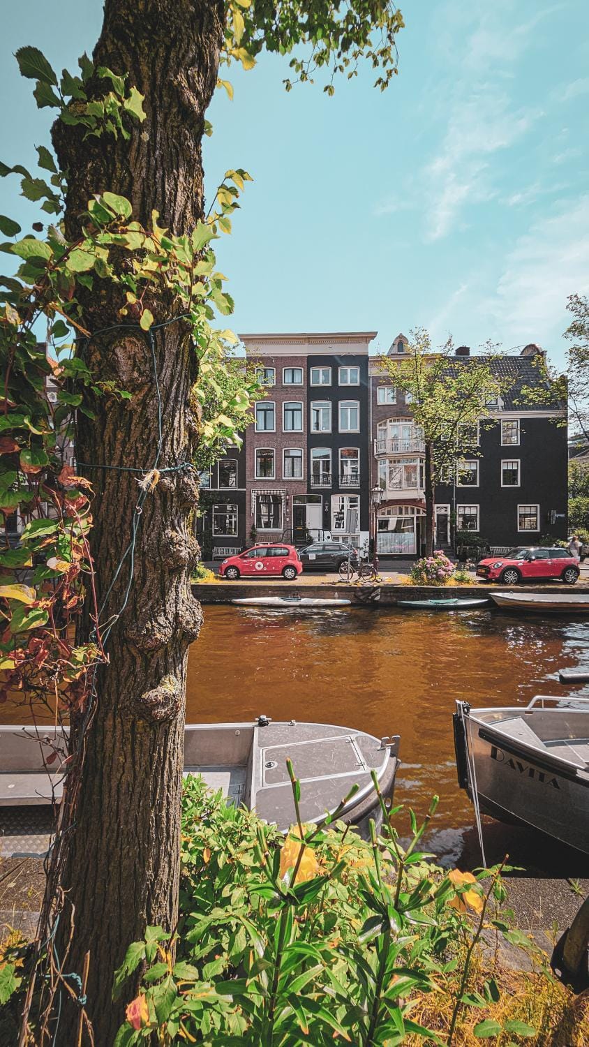 Property building, Neighbourhood, Natural landscape, City view, River view, Location