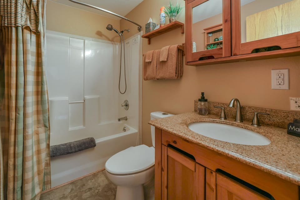 Shower, Toilet, Bathroom, Bath