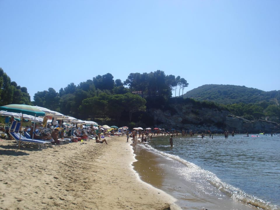 Nearby landmark, Beach