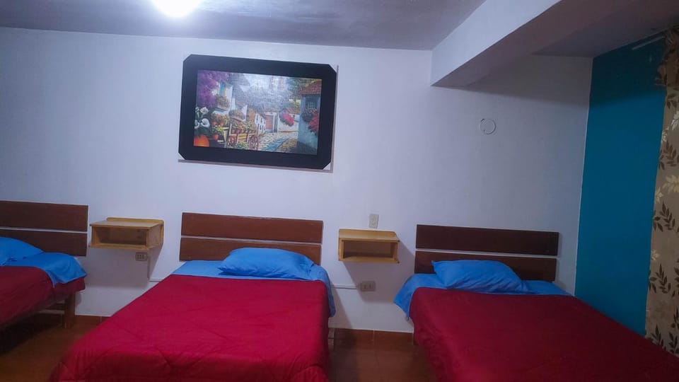 Bed, Area and facilities