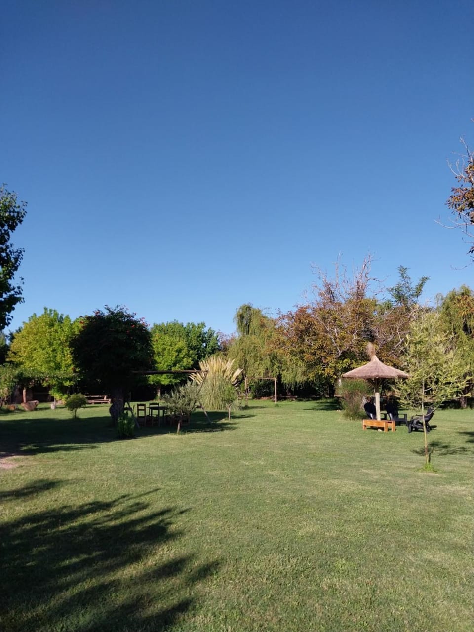 Natural landscape, Garden view
