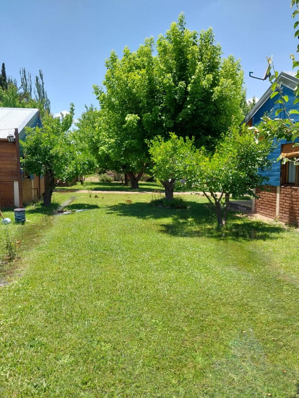 Natural landscape, Garden view