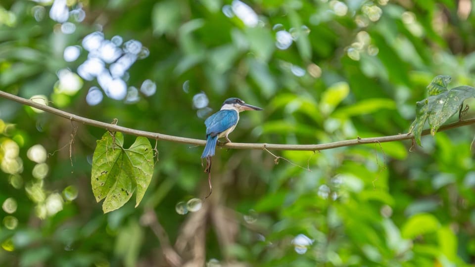 Water to Forest Ecolodge Bed and Breakfast in Central Visayas