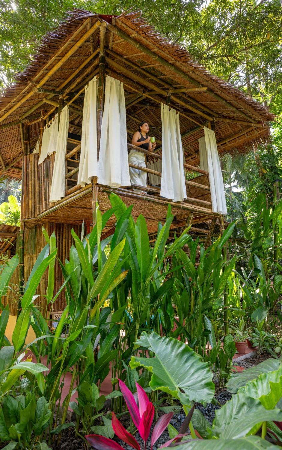 Water to Forest Ecolodge Bed and Breakfast in Central Visayas
