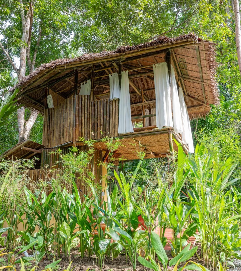 Water to Forest Ecolodge Bed and Breakfast in Central Visayas