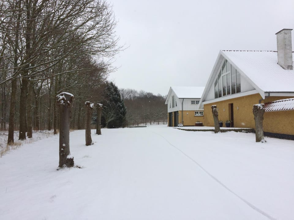 Property building, Facade/entrance, Day, Natural landscape, Winter