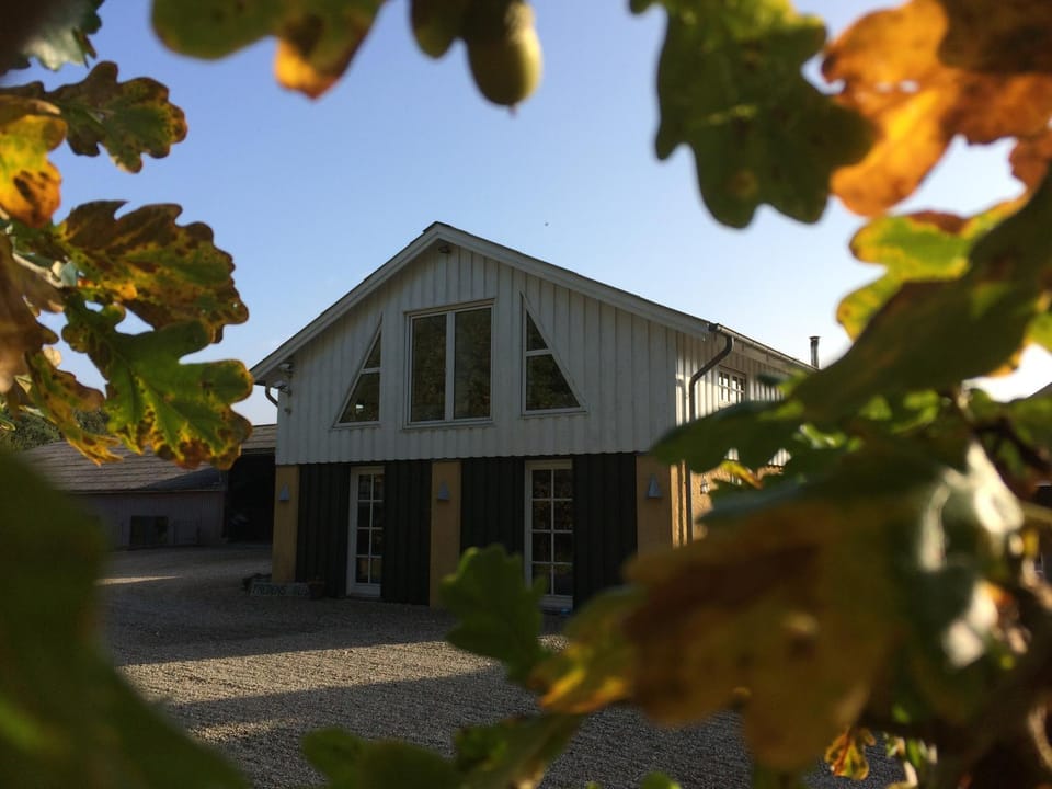 Property building, Decorative detail