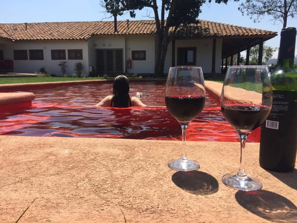 People, Garden, Garden view, Pool view, Alcoholic drinks