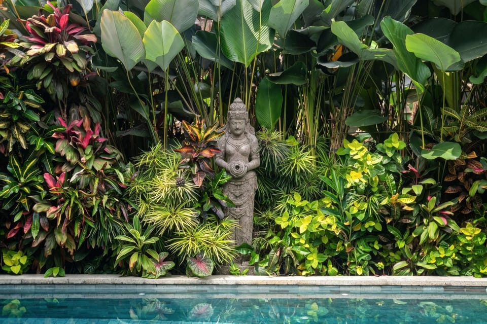 Day, Natural landscape, Garden, Garden view, Pool view, Swimming pool