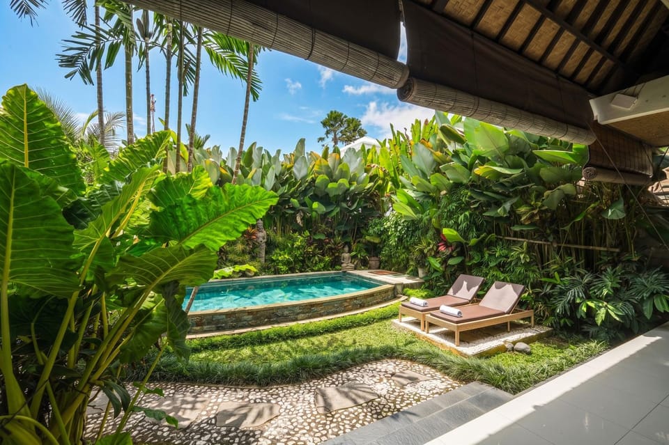Day, Natural landscape, Garden, Garden view, Pool view, Swimming pool, sunbed