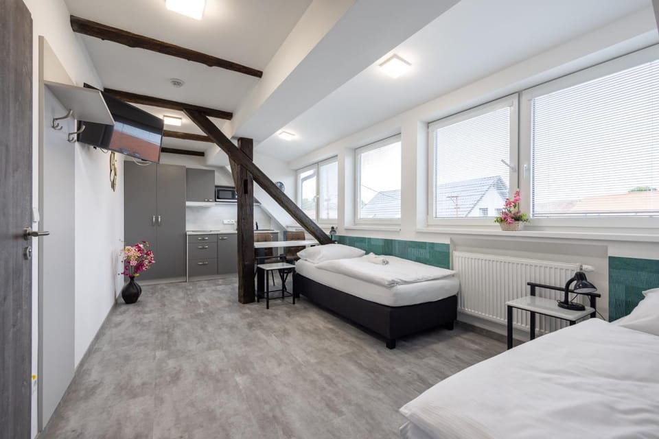Penzion Rozhovice Bed and Breakfast in Czechia