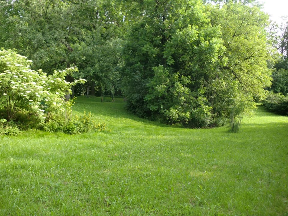 Natural landscape, Garden