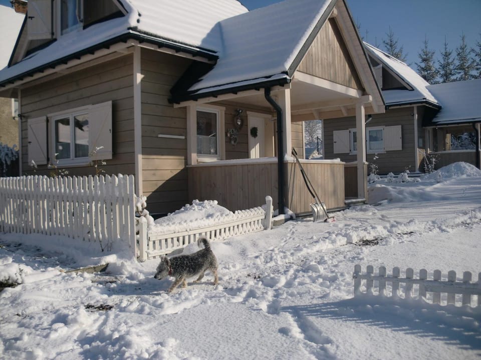 Property building, Winter