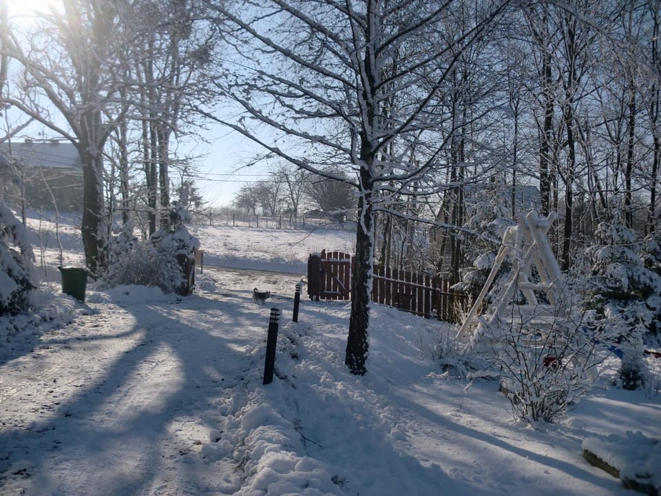 Natural landscape, Winter, Hiking