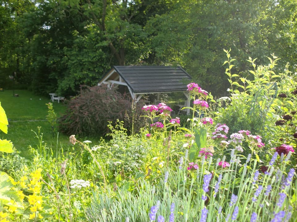 Garden, Area and facilities