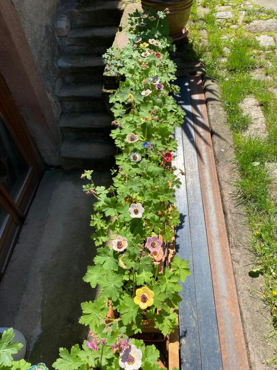 Inner courtyard view