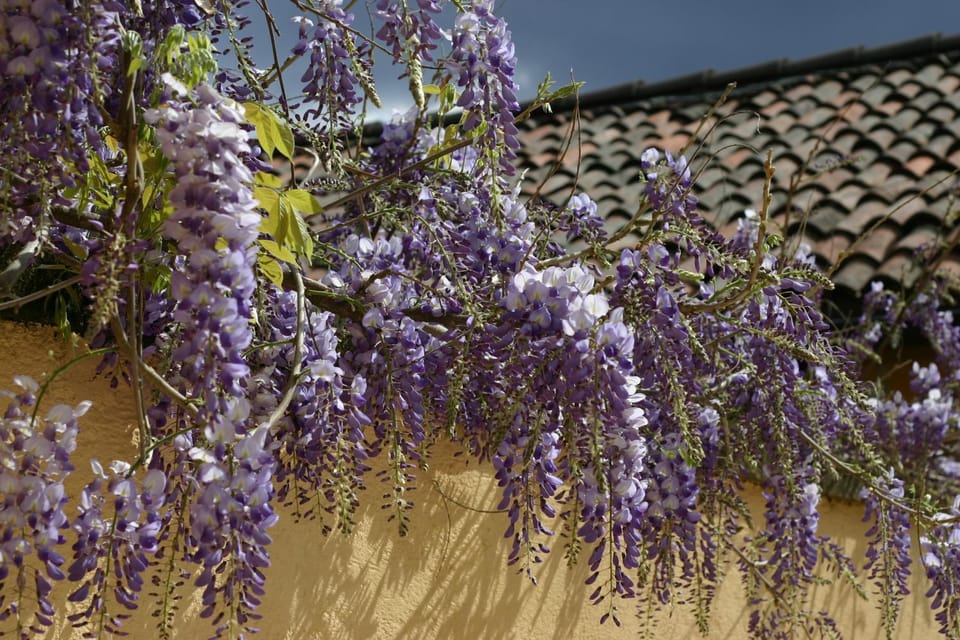 Chez Marianne "chambres d'hôtes" Bed and Breakfast in Canton of Ticino