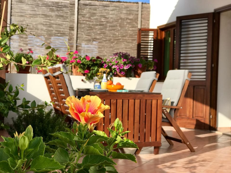 Food close-up, Garden, Balcony/Terrace, Meals