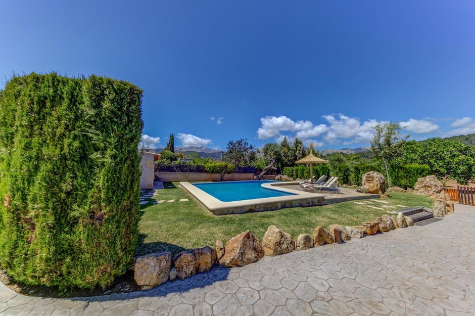 Pool view, Swimming pool, sunbed