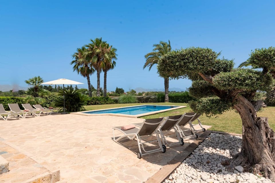 Garden, Garden view, Pool view, Swimming pool, sunbed