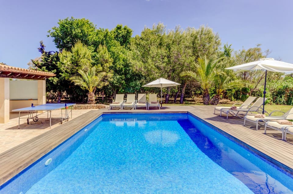 Pool view, Swimming pool, sunbed