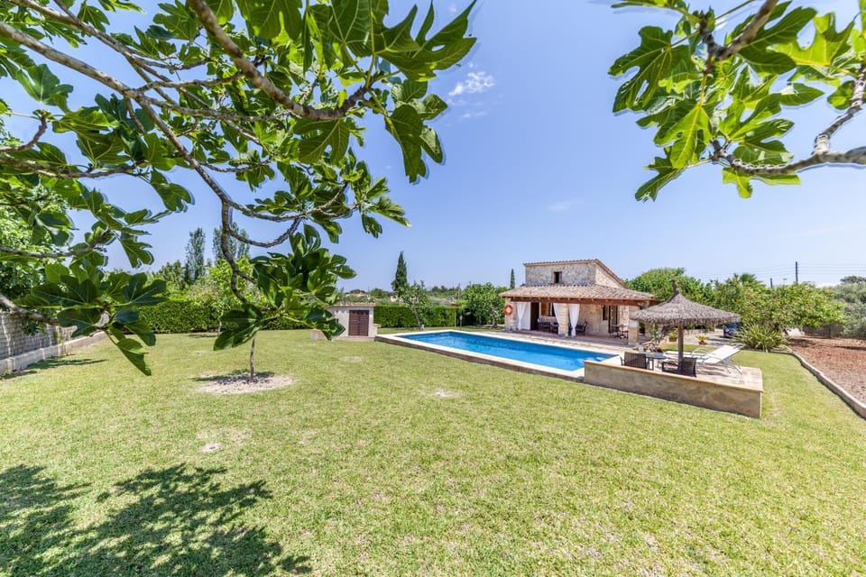 Property building, Garden, Swimming pool
