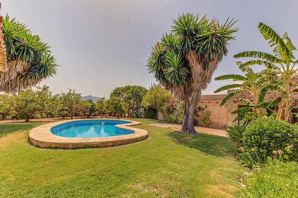Garden, Swimming pool