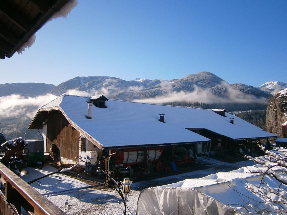 Floor plan, Animals, Mountain view
