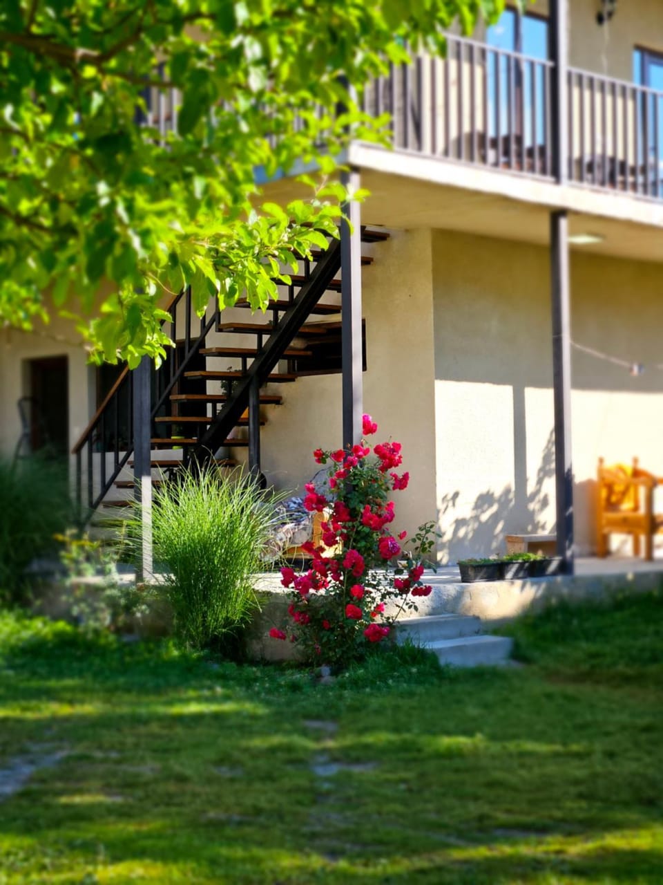 Garden view