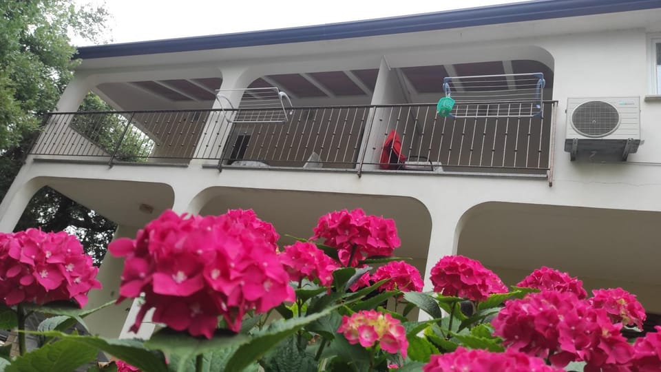 Property building, Garden view