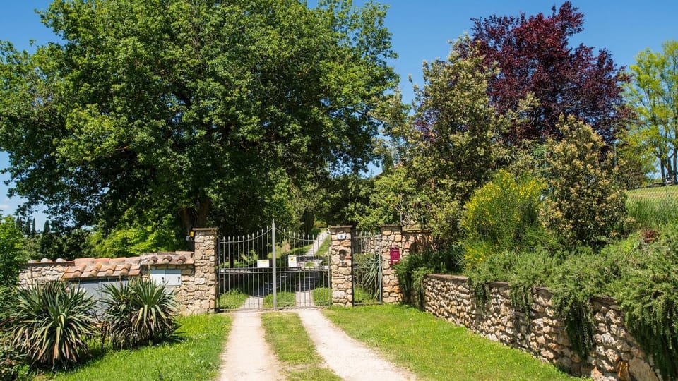 Spring, Day, Natural landscape, Garden, Decorative detail, On site, Garden view, Street view