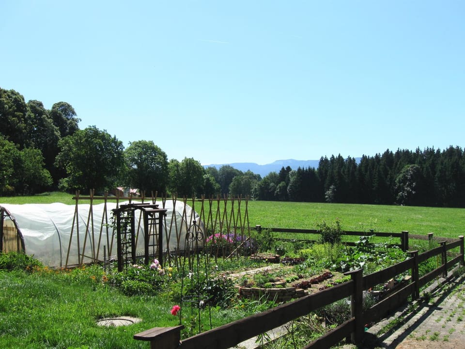 Natural landscape, Garden