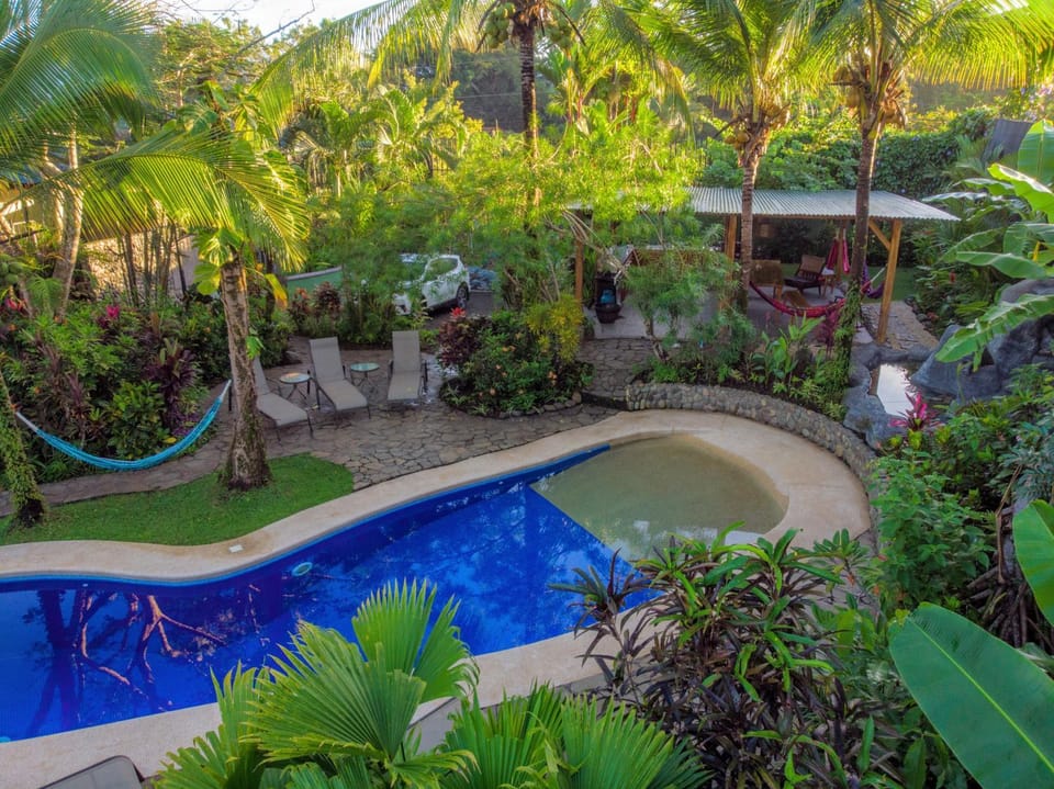 Pool view, Swimming pool