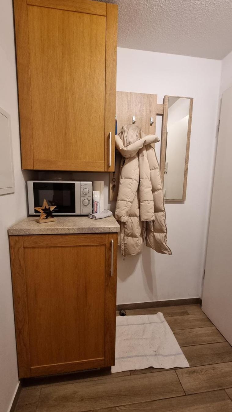 Kitchen or kitchenette, microwave, wardrobe