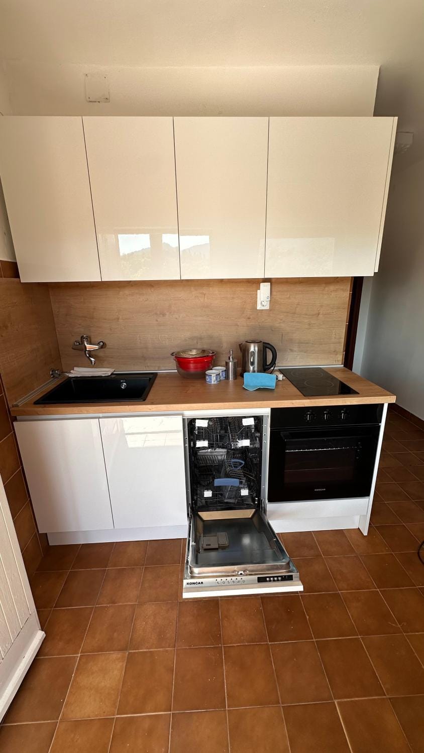 Kitchen or kitchenette, dishwasher, oven