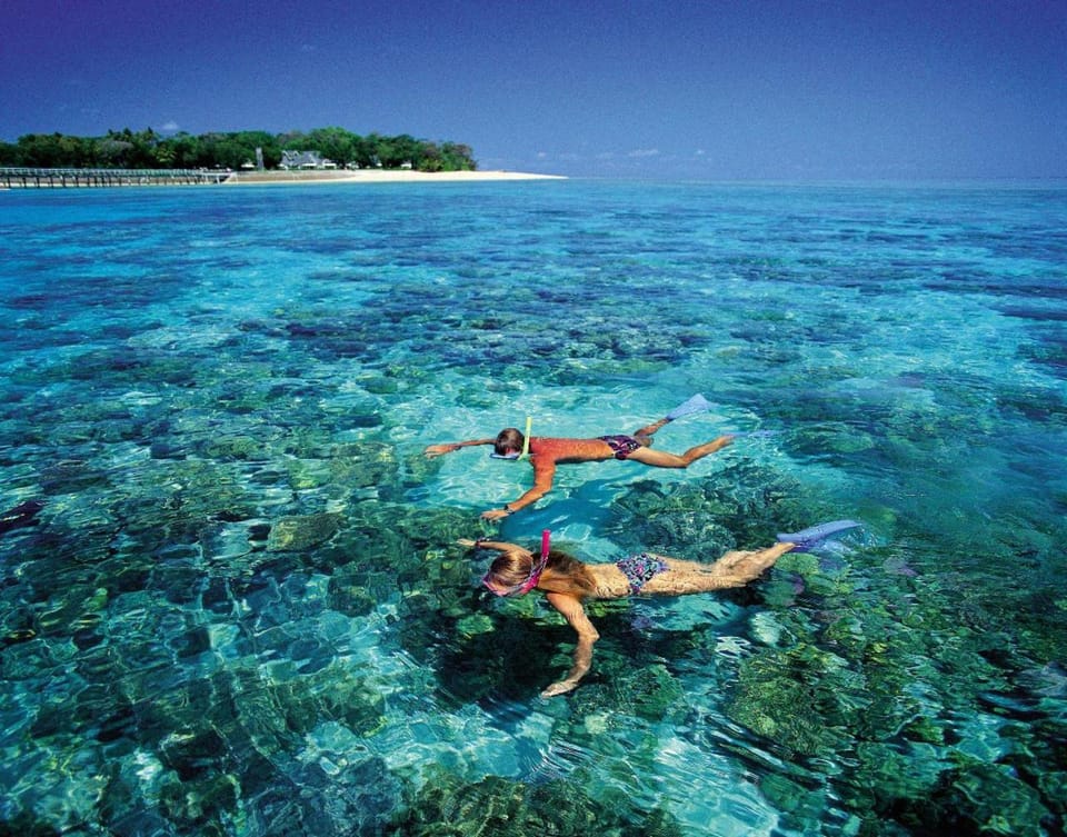 Snorkeling, Diving