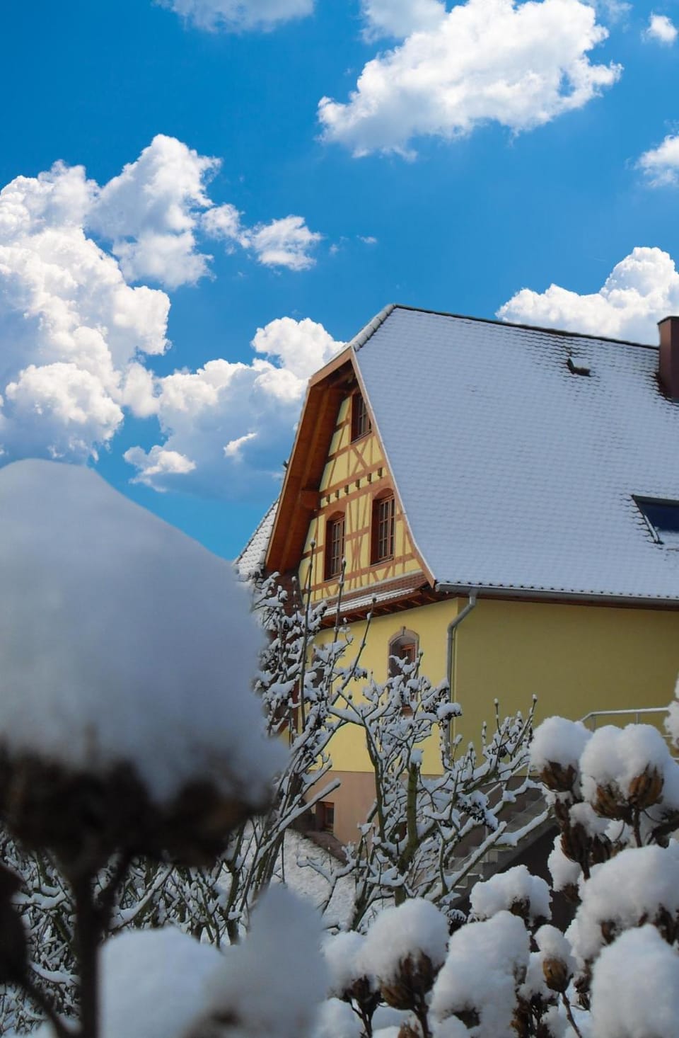 Winter