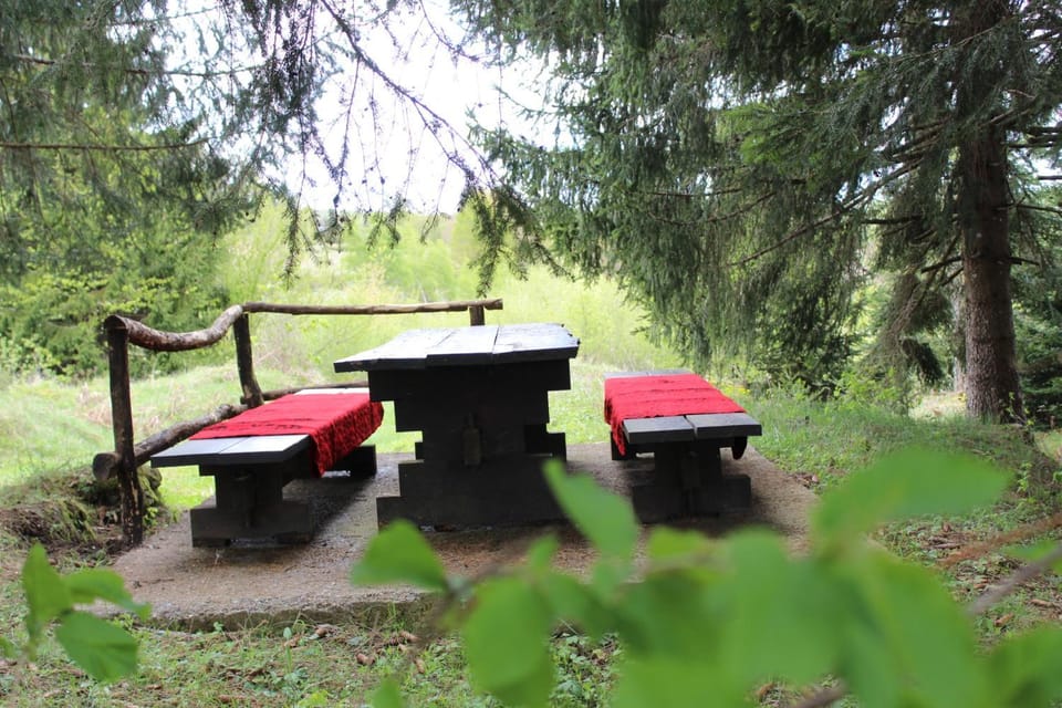 Day, Natural landscape, Garden, Garden view