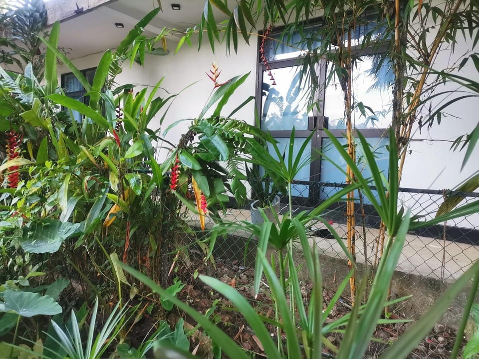 Garden view