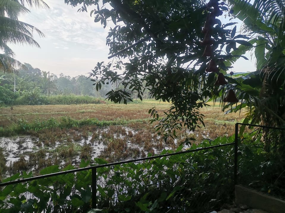 Garden, Garden view