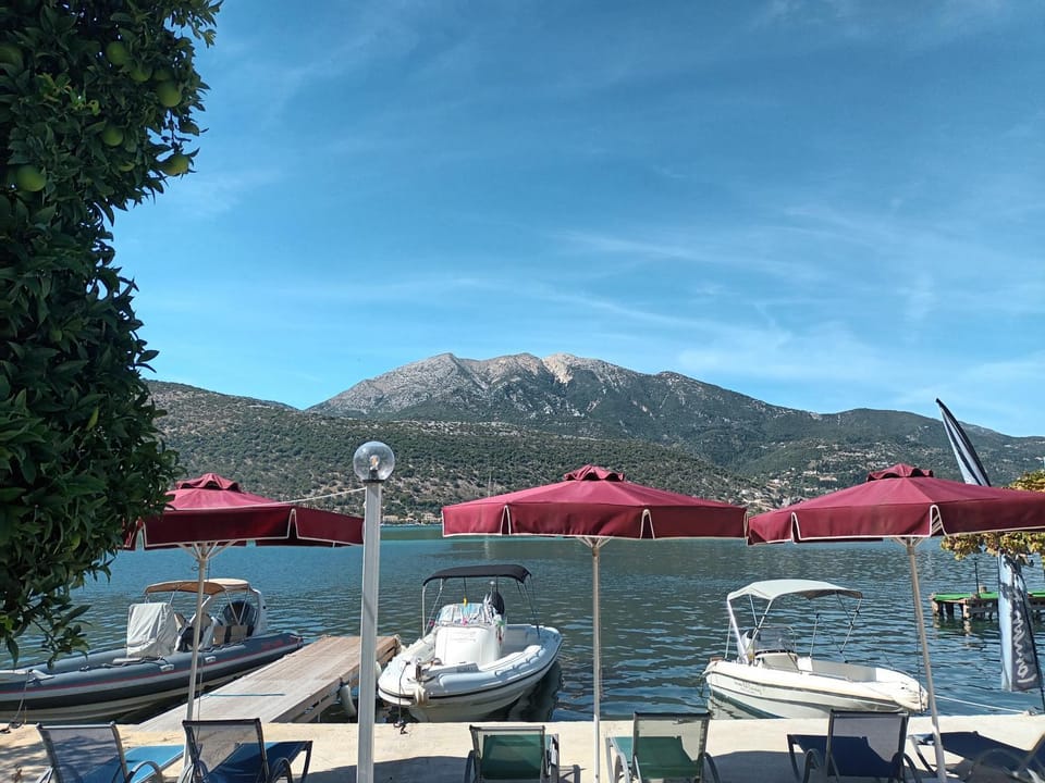 Lake view