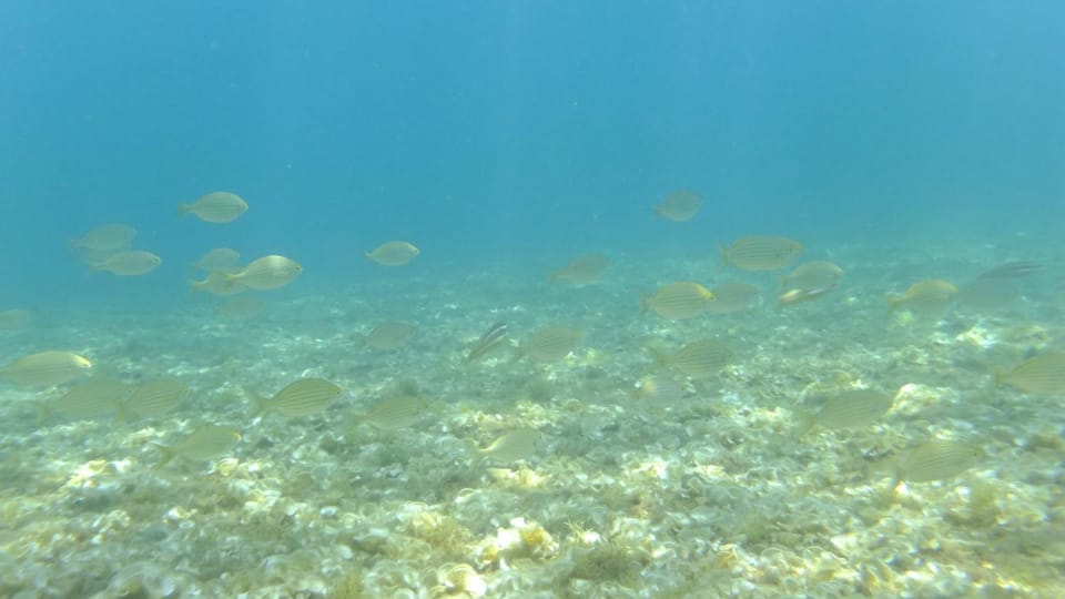 Natural landscape, Activities, Diving, Entertainment