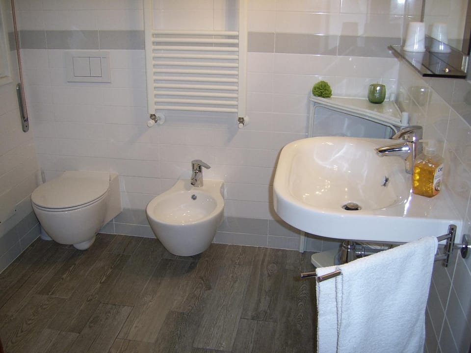 Shower, Toilet, Bathroom, bidet, towels, Internal: Not applicable to any particular room