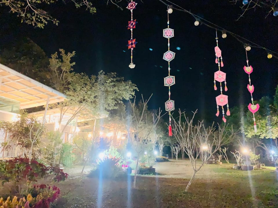 Night, Garden view