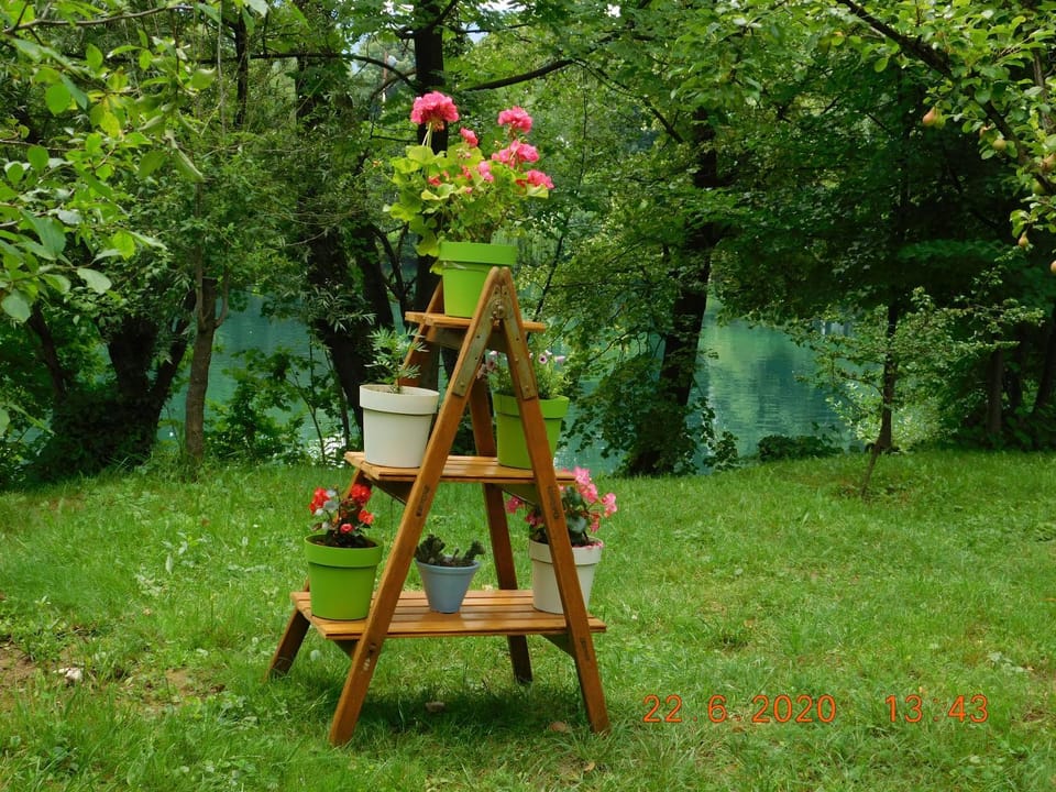 Garden, Decorative detail