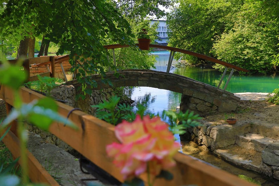 Natural landscape, River view