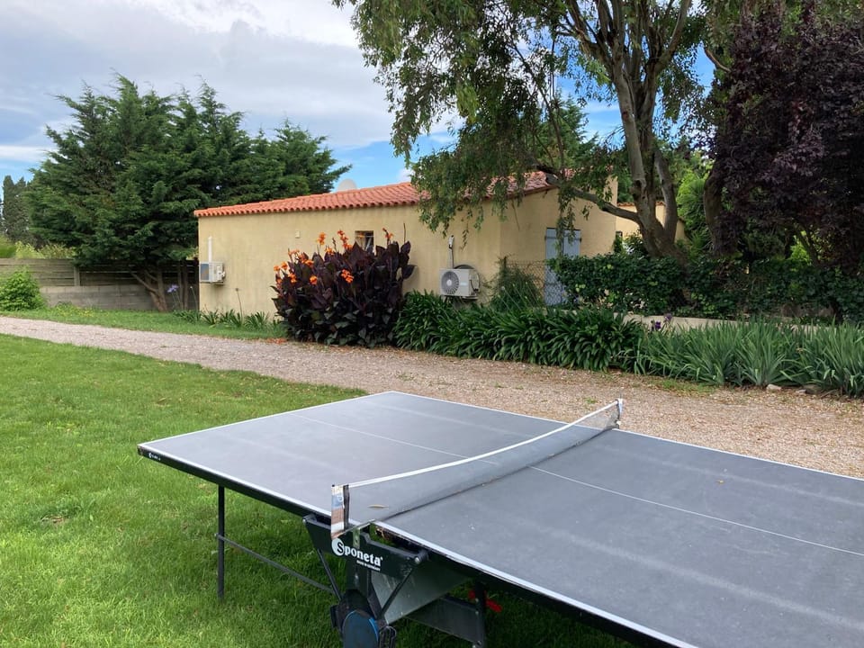 Table tennis