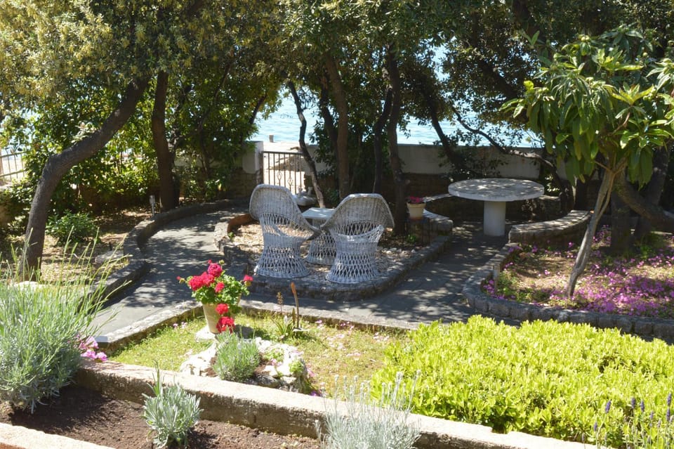 Spring, Day, Garden